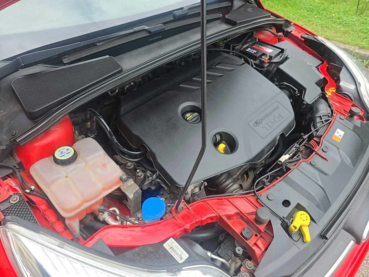 FORD FOCUS 1.6TDCI TREND